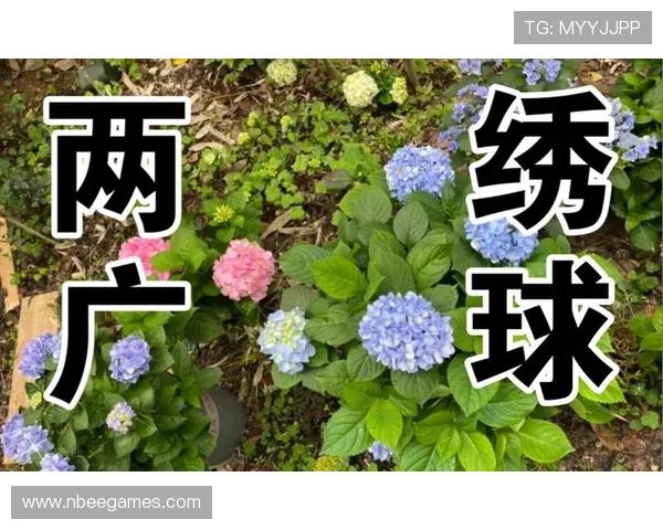 鎭╀綈鏅掔骞村悎鐓ц春杩蜂綘缃楃敓鏃ワ紝鐞冭糠锛氫氦鍑烘墜鏈虹浉鍐岋紒